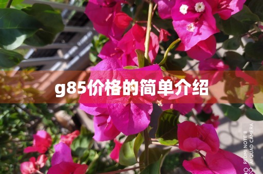 g85价格的简单介绍