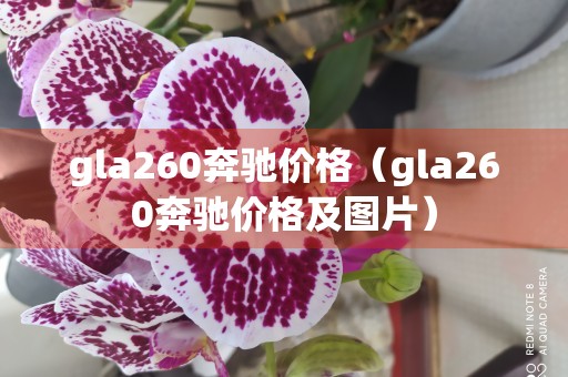 gla260奔驰价格（gla260奔驰价格及图片）