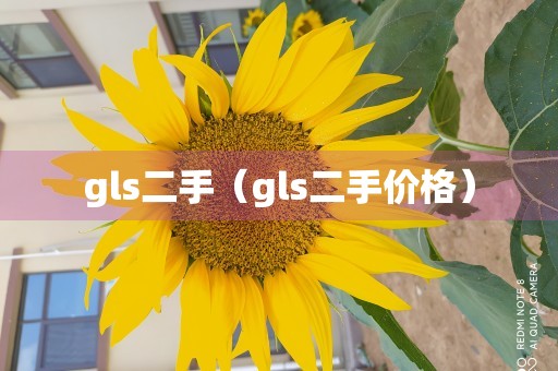 gls二手（gls二手价格）