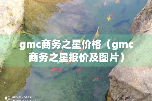 gmc商务之星价格（gmc商务之星报价及图片）