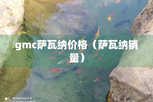 gmc萨瓦纳价格（萨瓦纳销量）