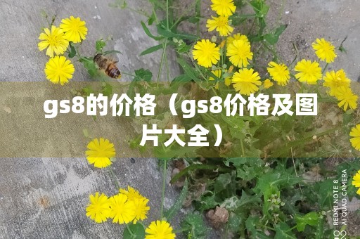 gs8的价格（gs8价格及图片大全）