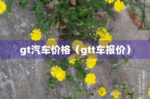 gt汽车价格（gtt车报价）