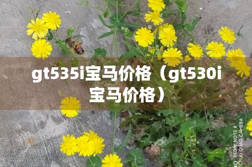 gt535i宝马价格（gt530i宝马价格）