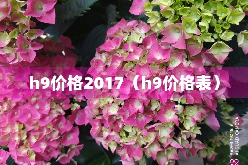 h9价格2017（h9价格表）