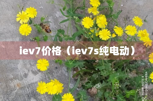 iev7价格（iev7s纯电动）