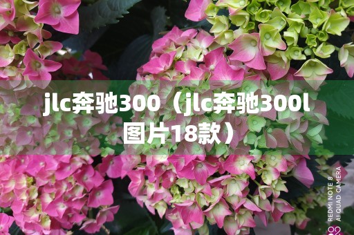 jlc奔驰300（jlc奔驰300l图片18款）