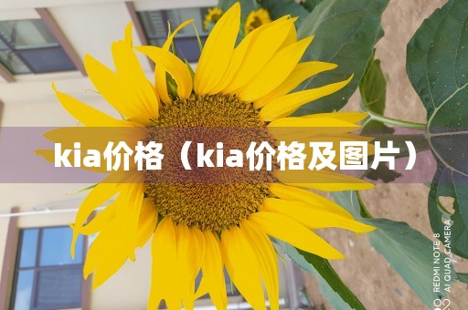 kia价格（kia价格及图片）