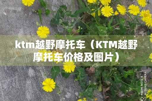 ktm越野摩托车（KTM越野摩托车价格及图片）