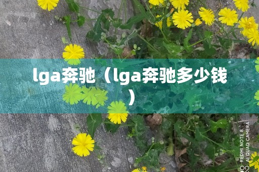 lga奔驰（lga奔驰多少钱）