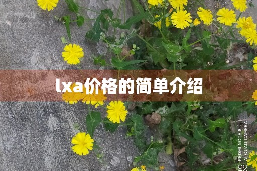 lxa价格的简单介绍