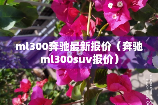 ml300奔驰最新报价（奔驰ml300suv报价）