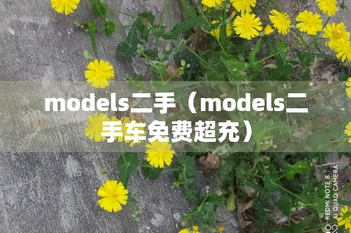 models二手（models二手车免费超充）