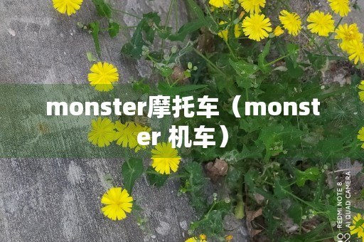 monster摩托车（monster 机车）