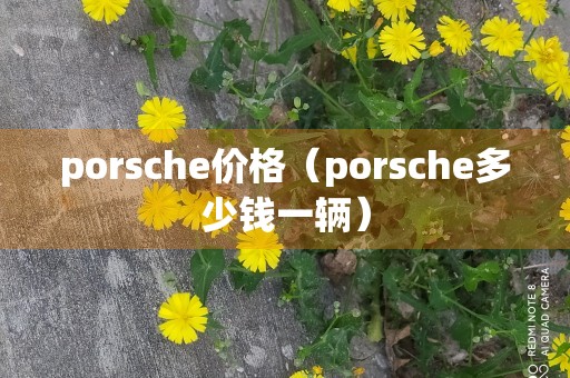 porsche价格（porsche多少钱一辆）