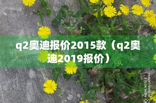 q2奥迪报价2015款（q2奥迪2019报价）