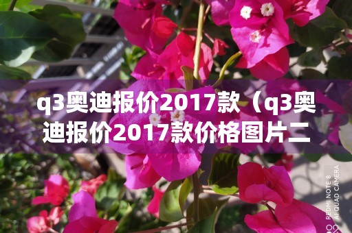 q3奥迪报价2017款（q3奥迪报价2017款价格图片二手）