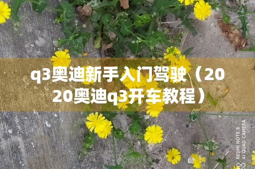 q3奥迪新手入门驾驶（2020奥迪q3开车教程）