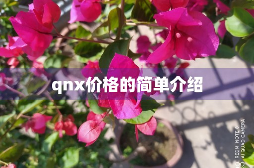 qnx价格的简单介绍