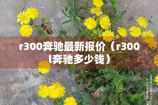 r300奔驰最新报价（r300l奔驰多少钱）