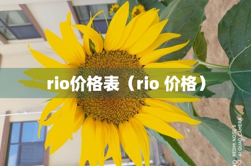 rio价格表（rio 价格）