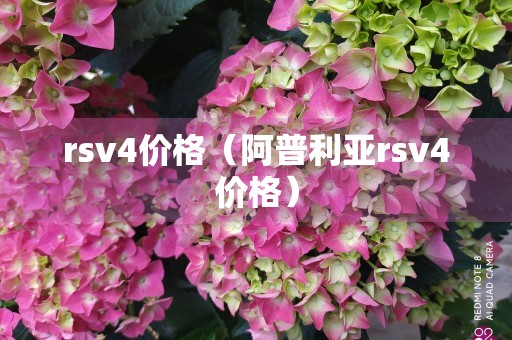 rsv4价格（阿普利亚rsv4价格）