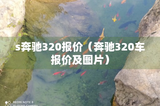 s奔驰320报价（奔驰320车报价及图片）