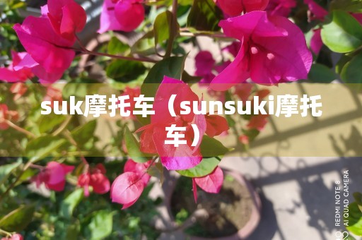 suk摩托车（sunsuki摩托车）