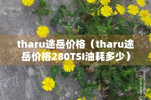 tharu途岳价格（tharu途岳价格280TSI油耗多少）