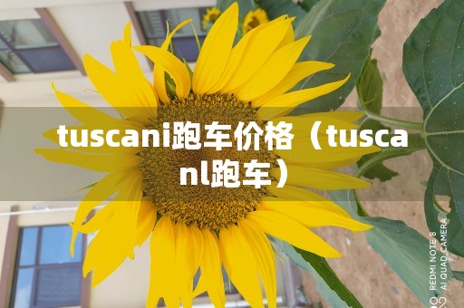 tuscani跑车价格（tuscanl跑车）