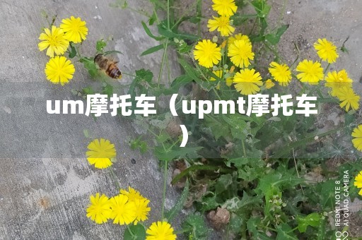 um摩托车（upmt摩托车）