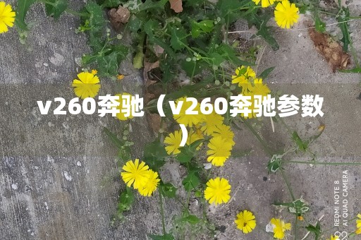 v260奔驰（v260奔驰参数）