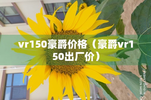 vr150豪爵价格（豪爵vr150出厂价）