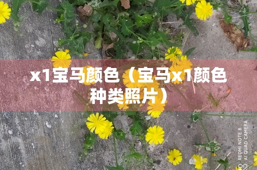 x1宝马颜色（宝马x1颜色种类照片）