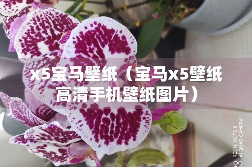 x5宝马壁纸（宝马x5壁纸高清手机壁纸图片）