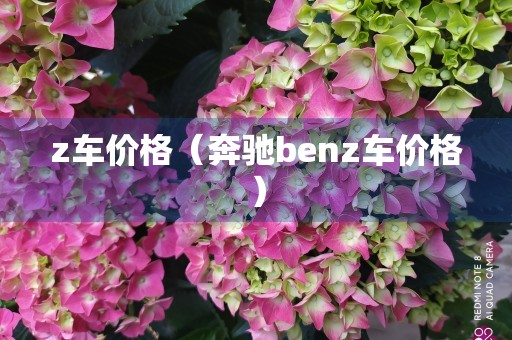 z车价格（奔驰benz车价格）